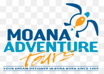 Bora Tours Packages - Adventure Tour Png,Moana Logo