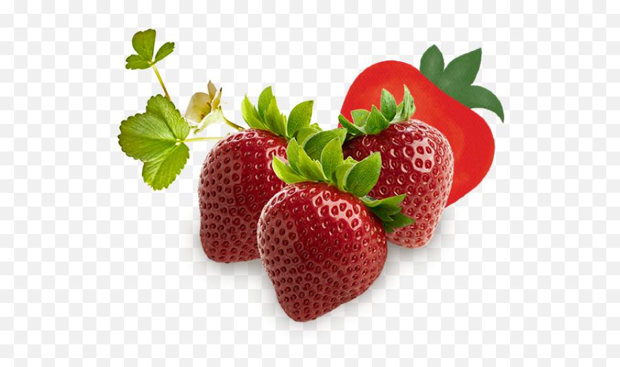 Download Blackberries Enjoy All The Berries - Png,Blackberries Png