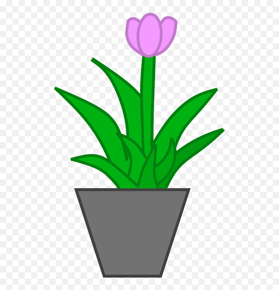 Potted Plant Png Clipart - Flowerpot,Potted Plant Png