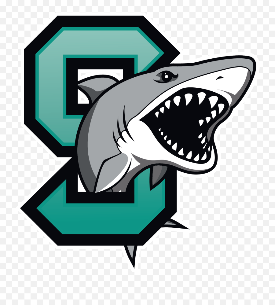 Home Of The Sharks - Middle School Shark Png,Shark Logo Png