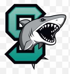 Home Of The Sharks - Middle School Shark Png,Shark Logo Png
