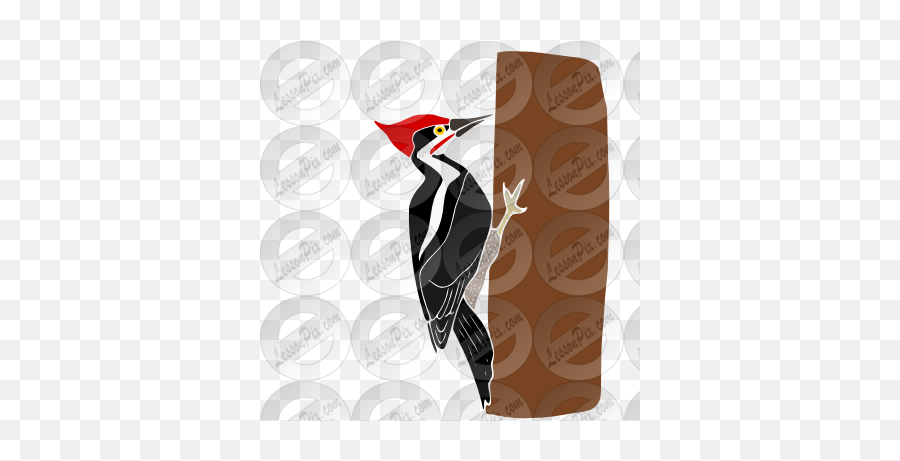 Woodpecker Stencil For Classroom Therapy Use - Great Woodpecker Png,Woodpecker Png