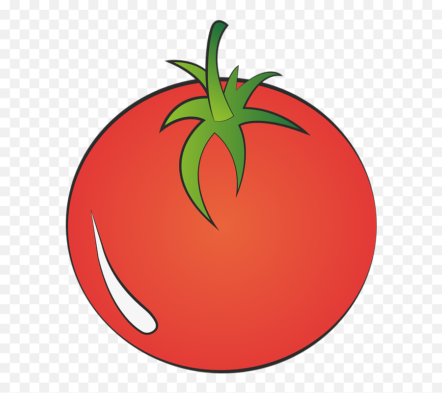 Google Play Movies Tv App - Google Tomato Png,Rotten Tomatoes Logo