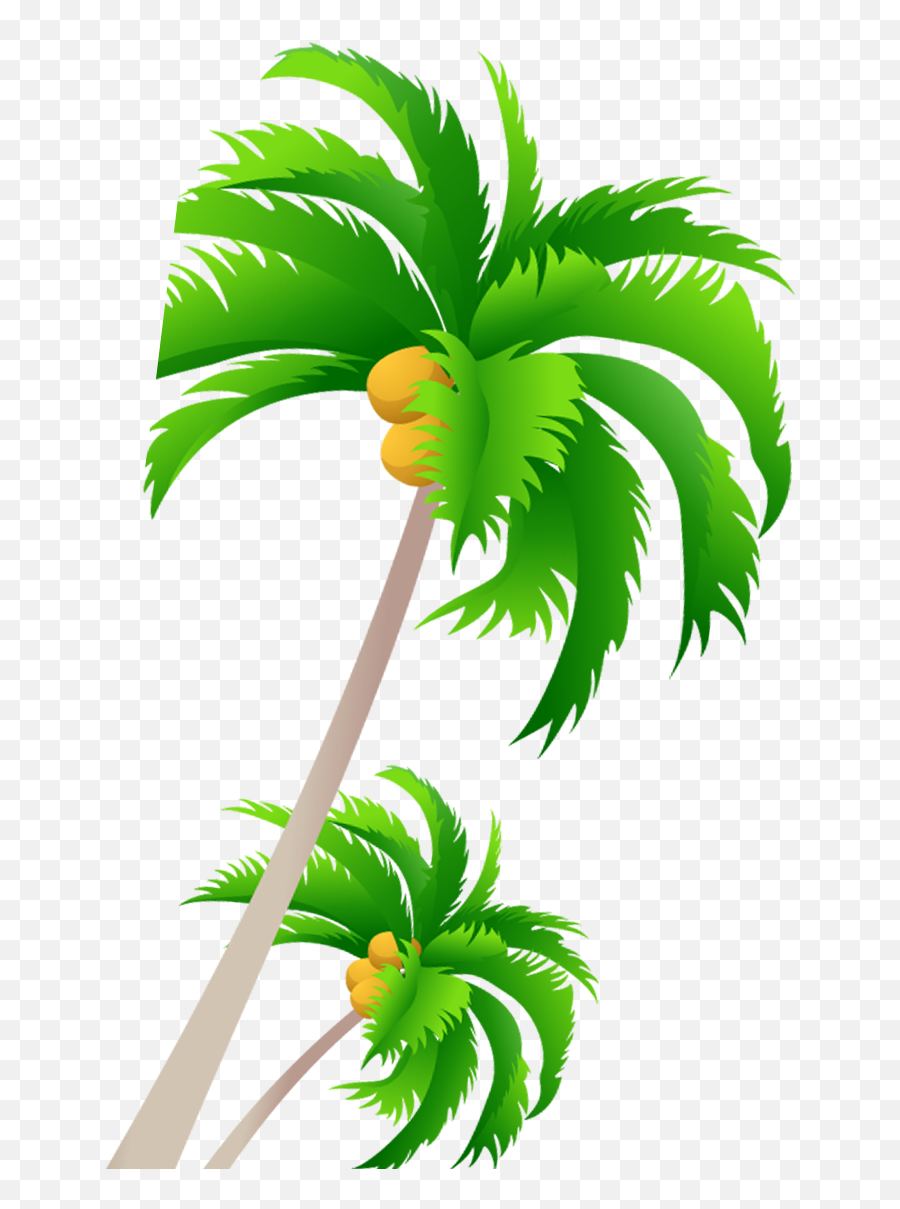 Free Palm Tree Vector Clipart - Full Size Clipart 4996982 Vector Coconut Tree Clipart Png,Palm Tree Vector Png