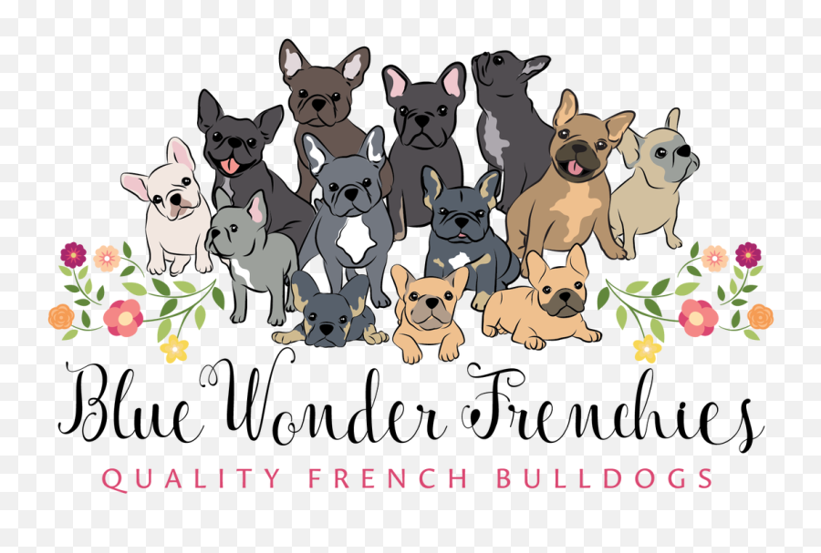 Dogs Clipart Name - Frenchies Cartoon Transparent Cartoon Frenchies Art Png,Dog Clipart Transparent