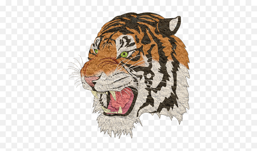 Free Tiger Png Images U0026 Imagespng Transparent - Tiger Images Png,Bengal Tiger Icon