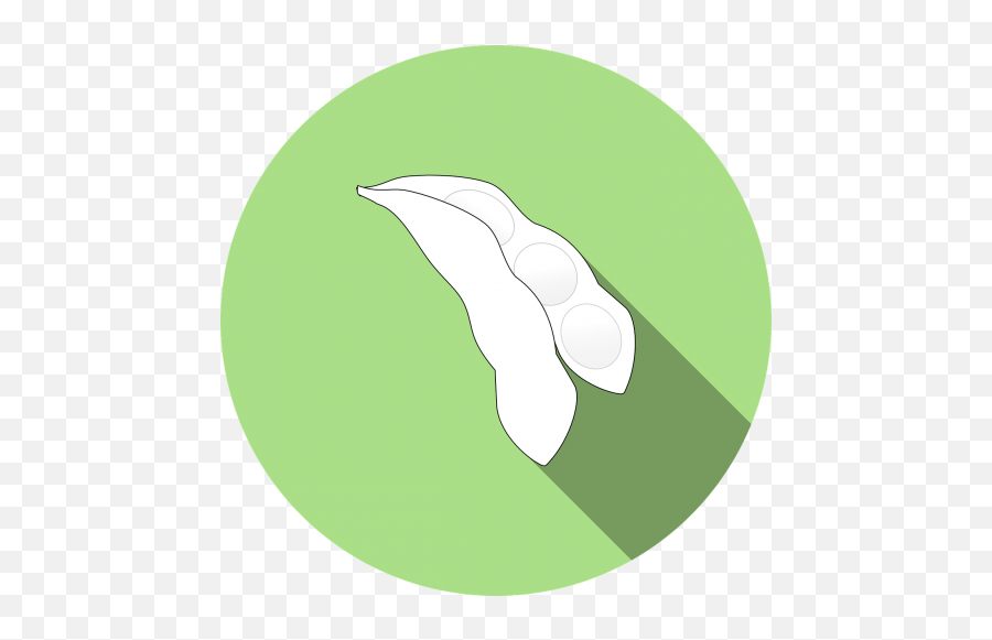 Gmo Public Domain Image Search - Soybean Icon Png,Soy Free Icon