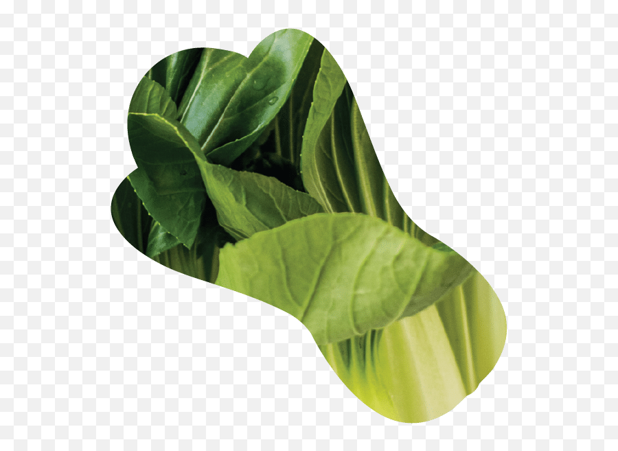 Home - Arums Png,Exo Icon