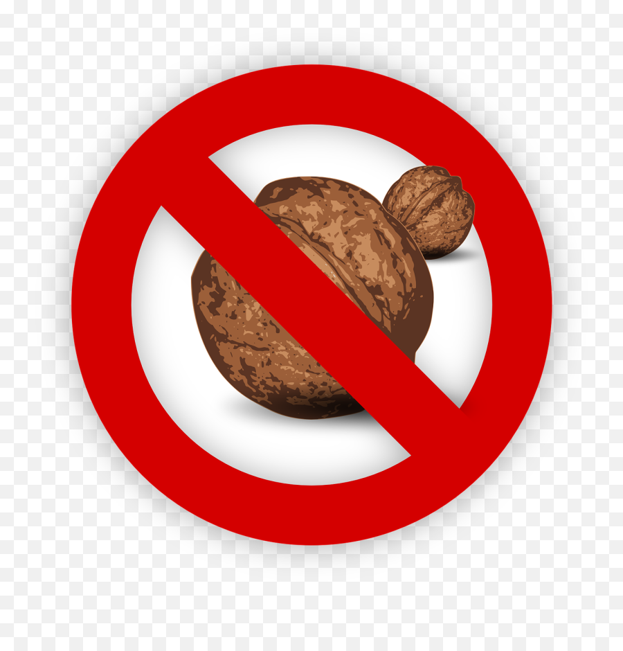 Tree Nut Allergy Food Allergen Walnut - Whitechapel Station Png,Nut Free Icon