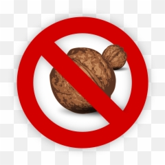 Tree Nut Allergy Food Allergen Walnut - Whitechapel Station png