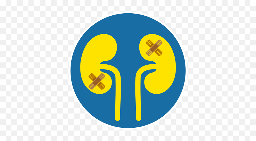 Steps To Better Kidney Health For People With Sickle Cell - Language Png,Pee Icon