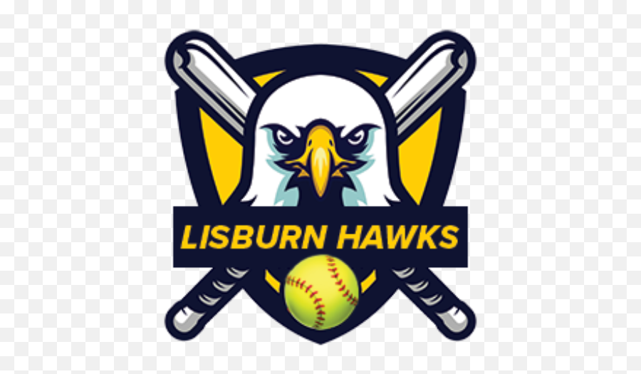 Intro League 2021 Go Hawks - Baseball For All Nationals 2021 Png,Softball Icon