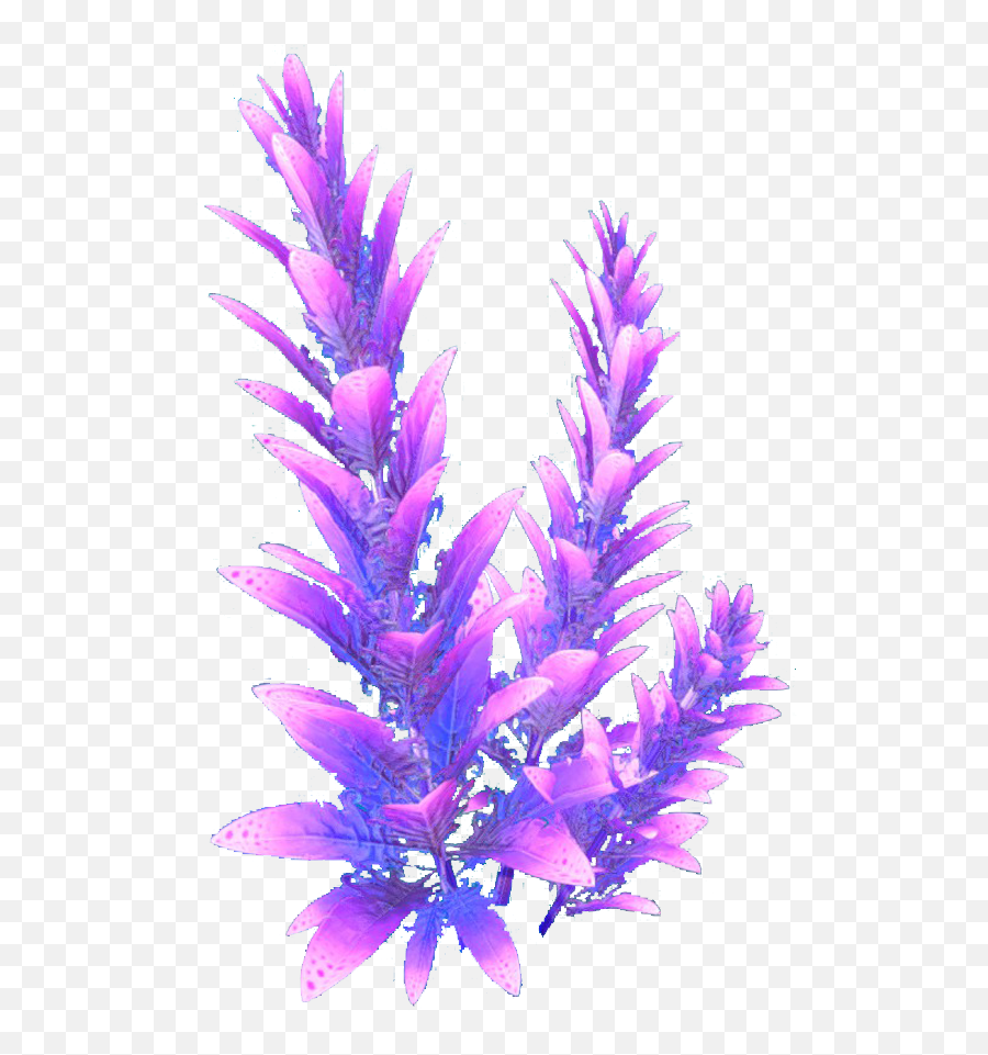 Download Purple Stalk Flora - Subnautica Flora Png Image Portable Network Graphics,Subnautica Png