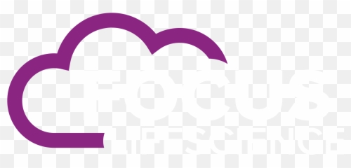 Sap Integration Lead Remote Contract - Focus Girly png