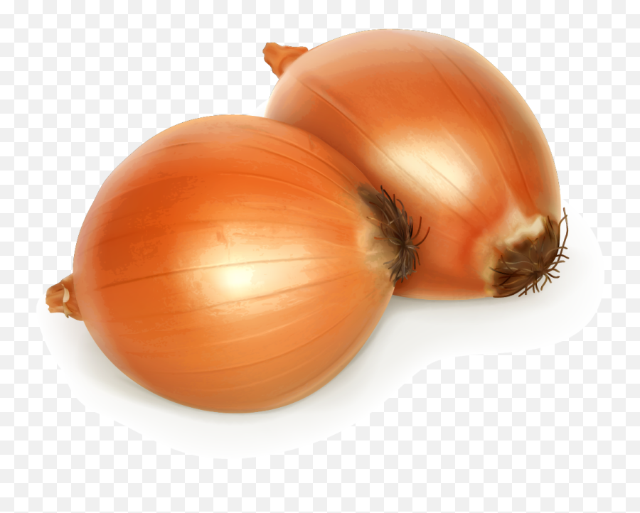 Free Png Onion