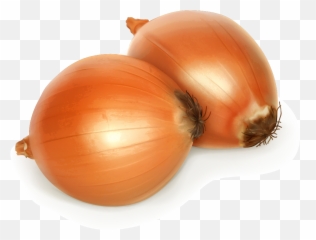 Free Png Onion