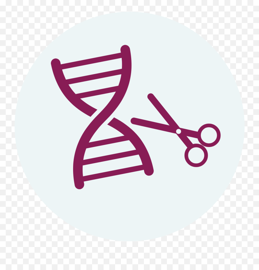 Investigational Approaches Targeting Dystrophin Production - Oligonucleotide Synthesis Market Png,Gene Therapy Icon