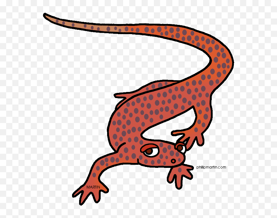 Free Salamander Cliparts Download - Clipart Salamander Png,Salamander Icon