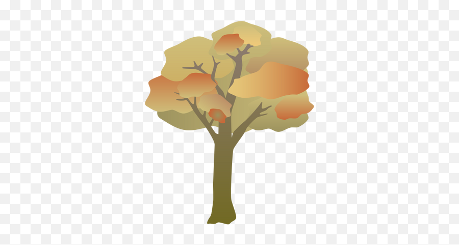 Index Of Ressources - Ticeresstice1partagevisuelian Maidenhair Tree Png,Fall Trees Png