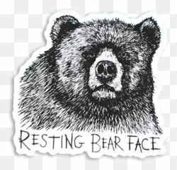 Stickers - Grizzly Bear png