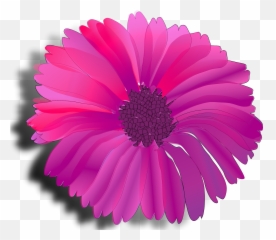 Pink Blue Chevron Png Svg Clip Art For - Flower