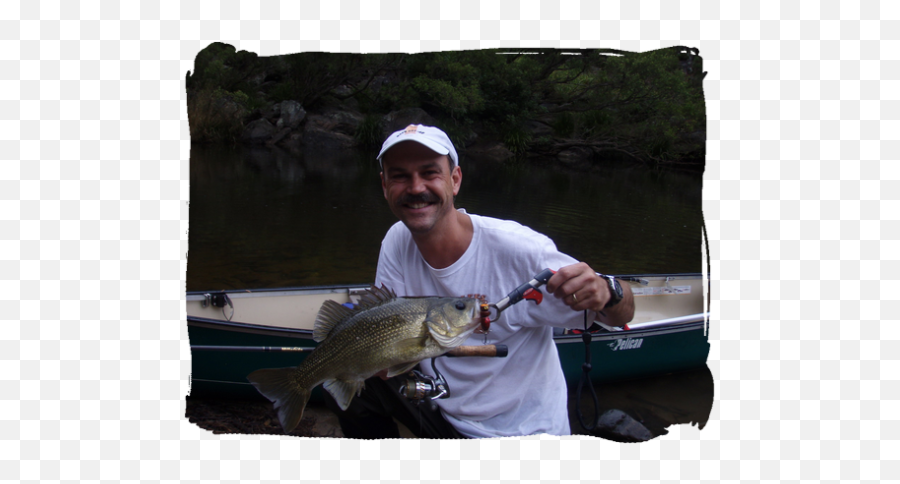 Bass Fishing - Bass Lodge Pull Fish Out Of Water Png,Bass Fish Png