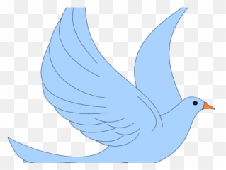 Dove Png Transparent Background - Brds Clipart Transparent Pigeons And Doves