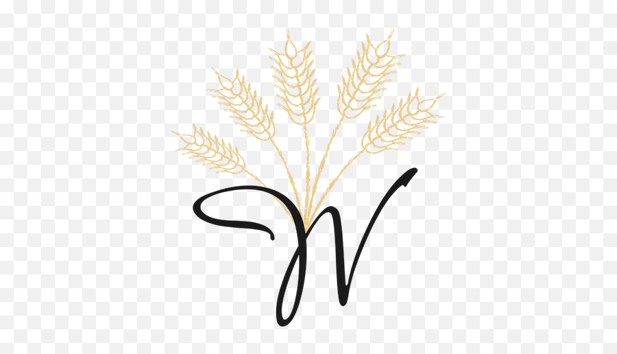 Virgin Wheat - Illustration Png,Wheat Logo