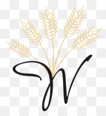 Virgin Wheat - Illustration png