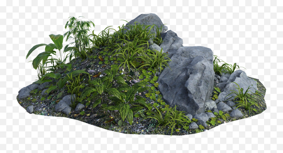 Jungle Foliage Rainforest - Free Image On Pixabay Igneous Rock Png,Jungle Plants Png