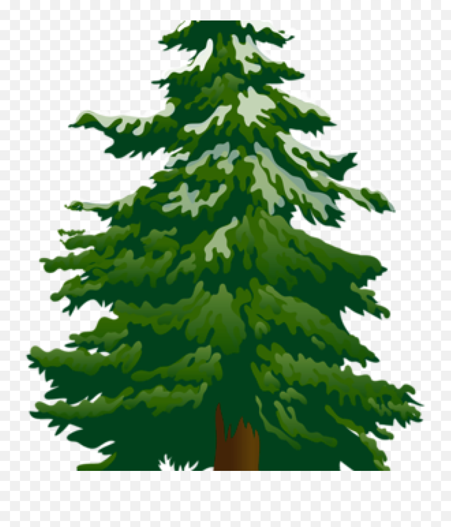 Pine Tree Clipart Png - Free Pine Tree Clipart,Christmas Tree Clipart Png