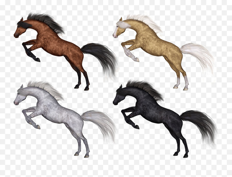 Horse Horses Pony - Free Image On Pixabay Purebred Palomino Arabian Png,Horses Png