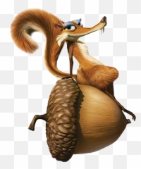 Ice Age Squirrel Png Image - Female Squirrel From Ice Age,Squirrel Transparent