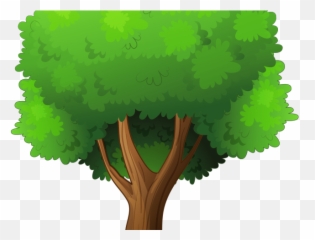 Tree Clipart Tress - No Background Transparent png
