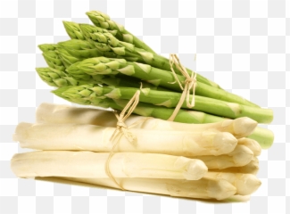 Green Asparagus Transparent Png - Espárragos Blancos Y Verdes,Asparagus Png