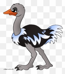 Ostrich Clipart - Ostrich Clip Art Free Png,Ostrich Png
