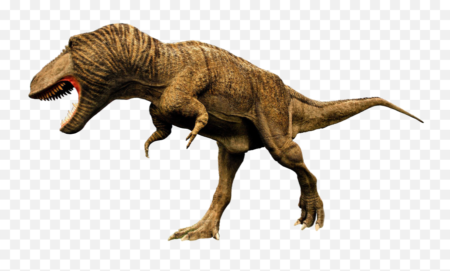 Tyrannosaurus Rex Png Picture - T Rex Image Png,Tyrannosaurus Png