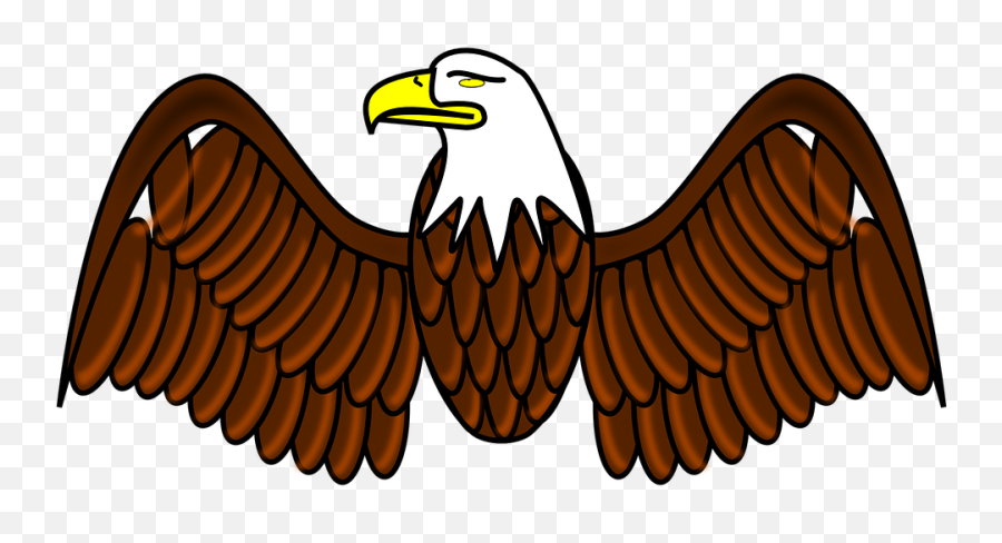 Eagle Wings Feathers Spread Beak - Dibujos De Aguilas A Lápiz Png,Eagle Wings Png