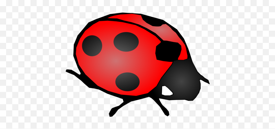 Ladybug Photo Background Transparent Png Images And Svg - Lady Bug,Transparent Ladybug