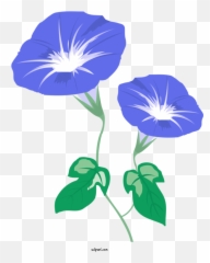 Flowers Japanese Morning Glory Petal Mochi For - Lovely png