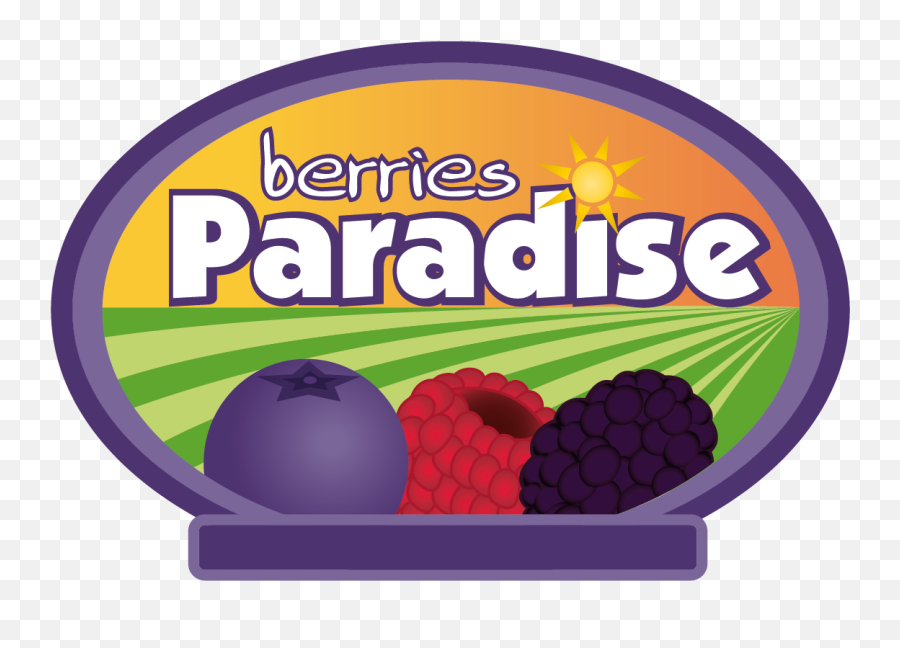 Berries Paradise - Berries Paradise Png,Blackberries Png