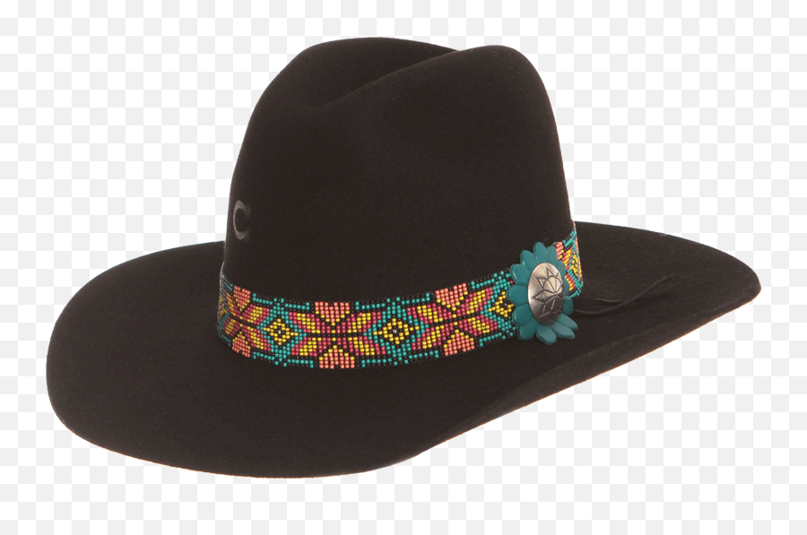 Cfgdgr Black - Fedora Png,Cowgirl Hat Png