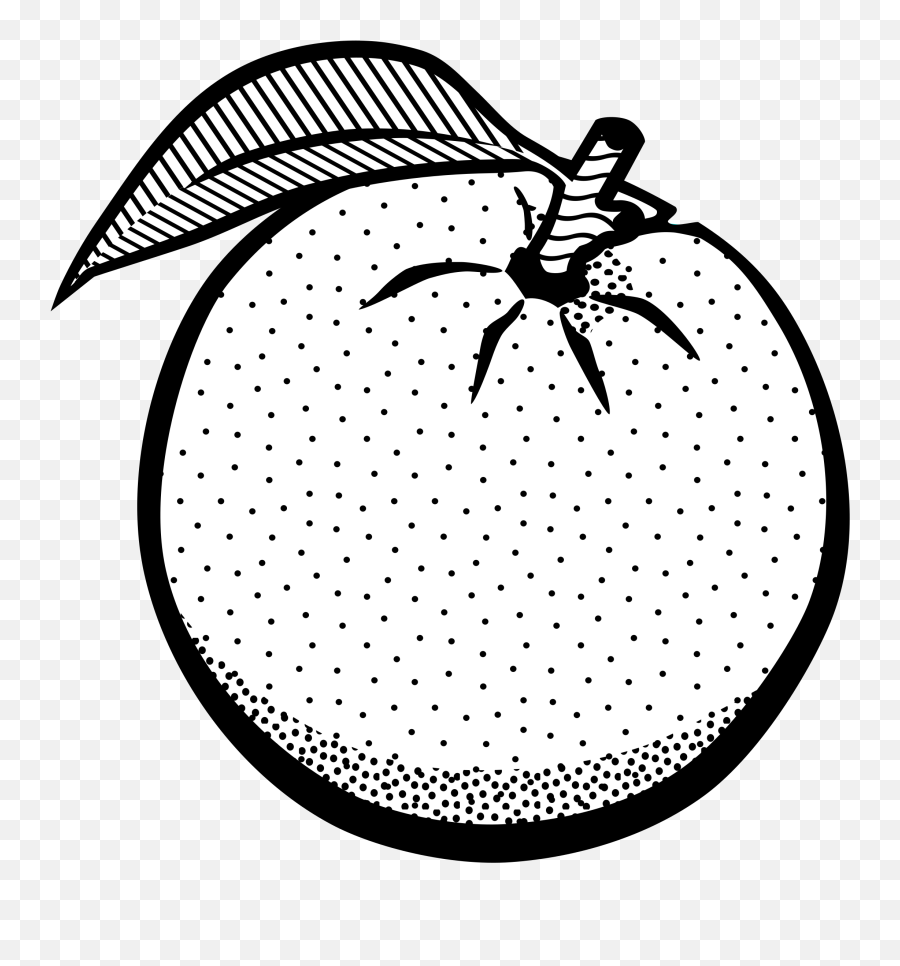 Pear Clipart Line Drawing - Orange Black And White Png,Line Drawing Png