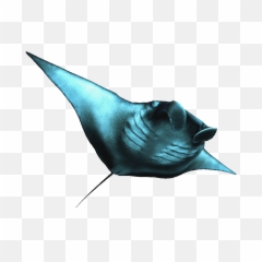Art - Transparent Sting Ray Png,Stingray Png