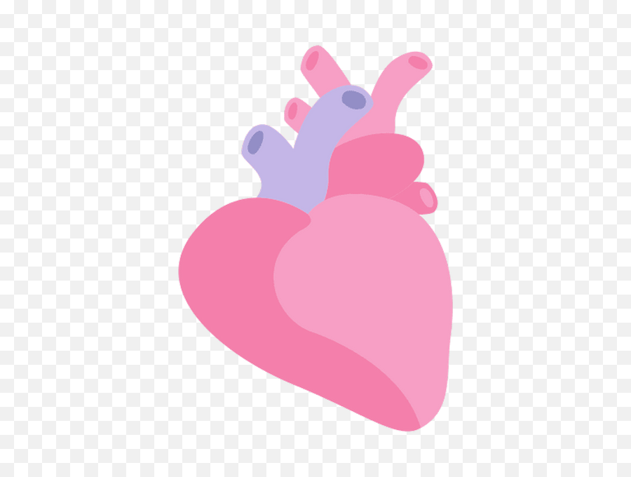 Heart Human Organ - Cartoon Heart Organ Transparent Png,Png Heart