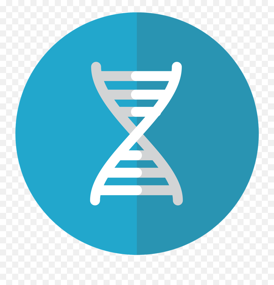 Gene Icon Genetics - Genetics Png,Genetics Icon