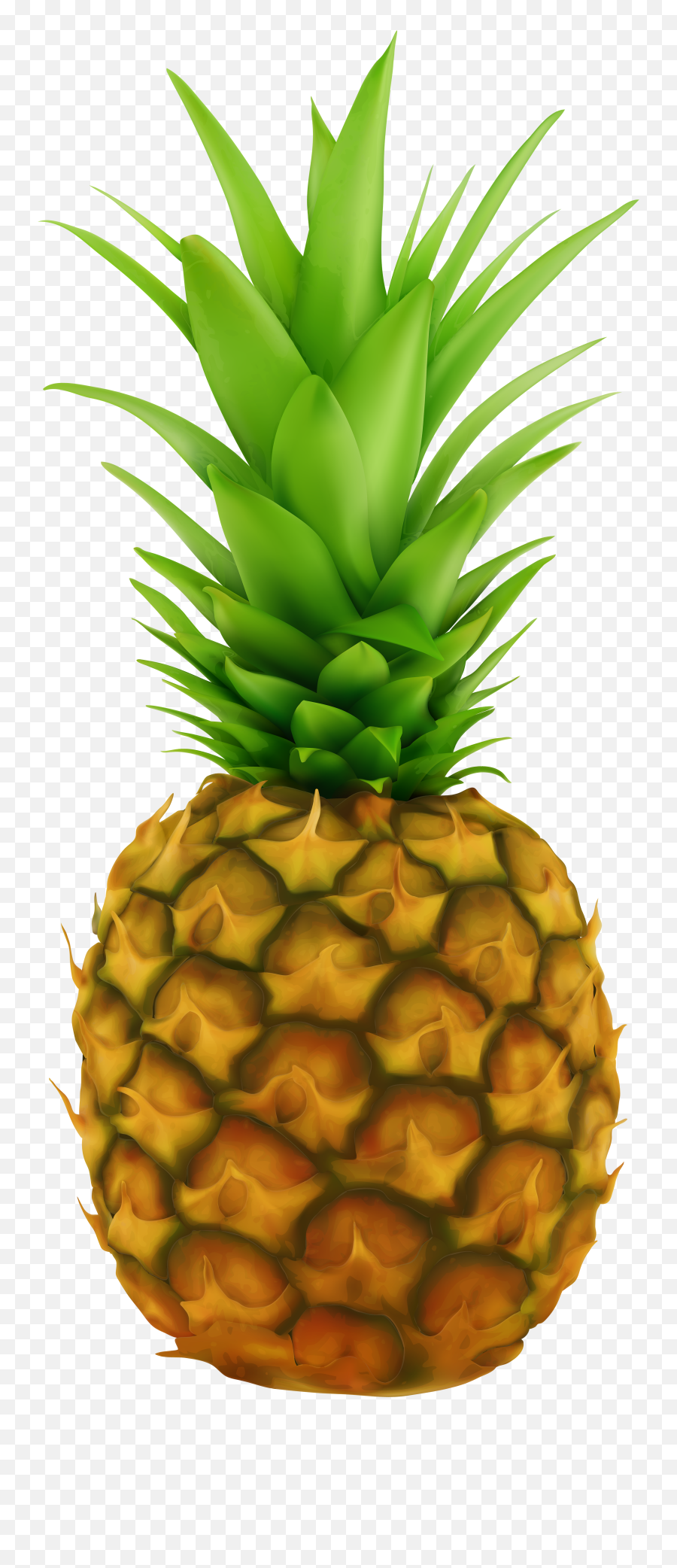 Pineapple Transparent Clip Art Image - Pineapple Fruit Transparent Background Png,Pineapple Transparent