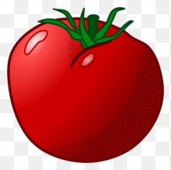 Tomatoplantapple Png Clipart - Royalty Free SVG Coloured Image Of