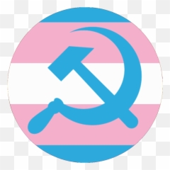 Trans Flag With Hammer And Sickle - Discord Emoji png