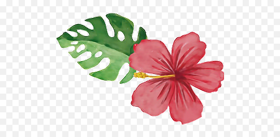 Summertime Summerfun Tropical Flower - Flamingo Tropical Watercolor Png,Hawaiian Flowers Png